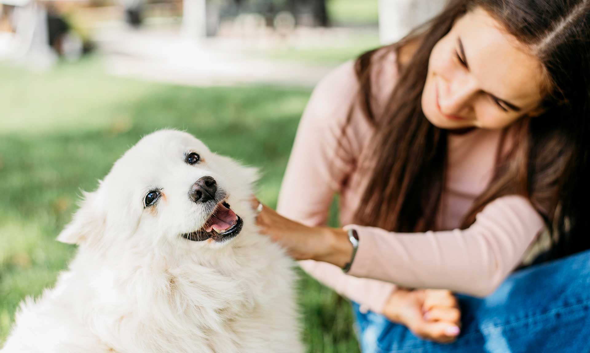 Accarezzare un cane che non conosci: come farlo nel modo giusto