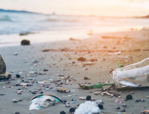 Un mare di possibilità: come ognuno di noi può fare la differenza